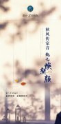 【乾元·金海國際】工程進度播報丨金秋十月 見證品質“家”